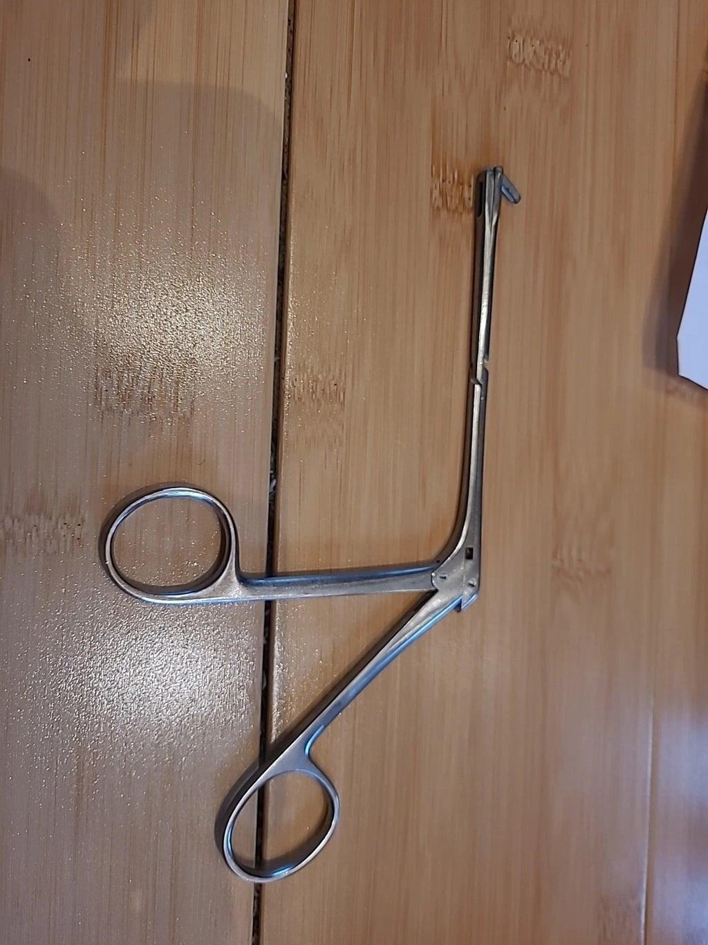 Karl Storz Nasal Sinus Rhino Ent  Punch backbiter