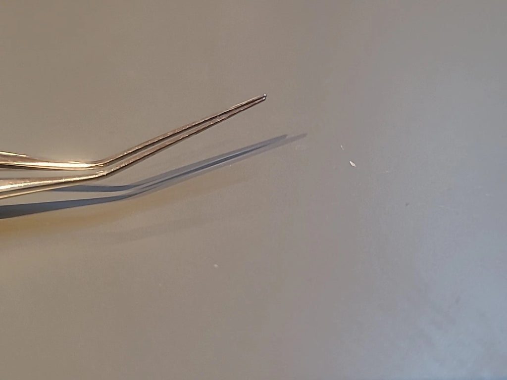 Rhein Ophthalmology Corza Loading Forceps