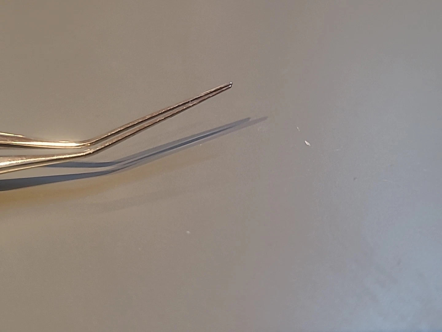 Rhein Ophthalmology Corza Loading Forceps