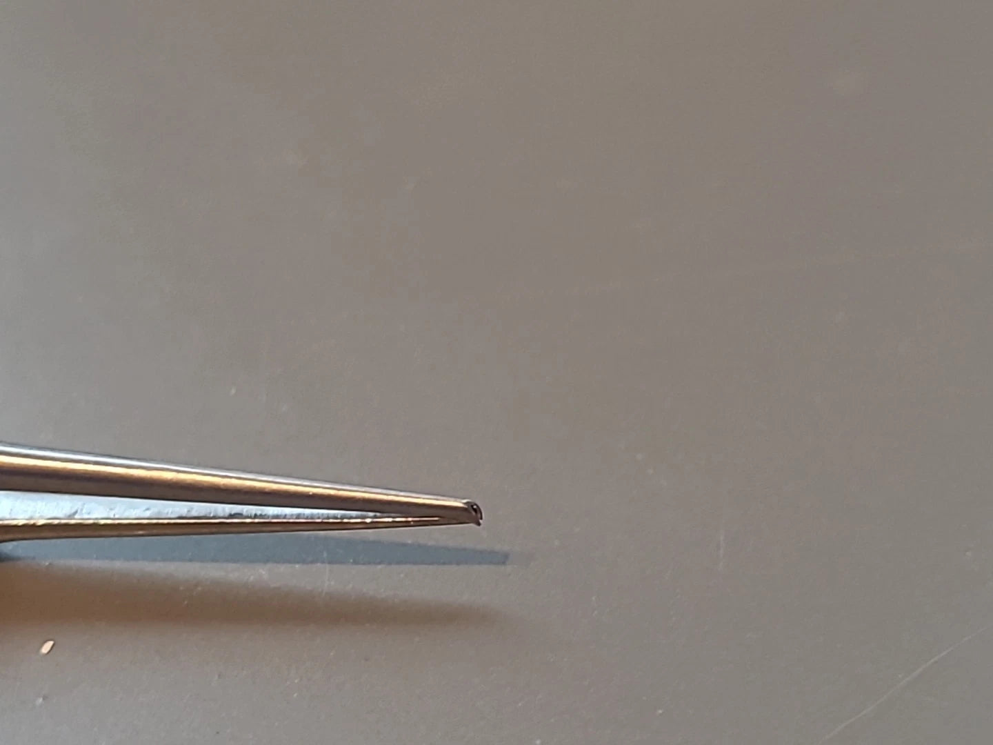 Aesculap Ophthalmology Cataract Point 5 Forceps with teeth US133