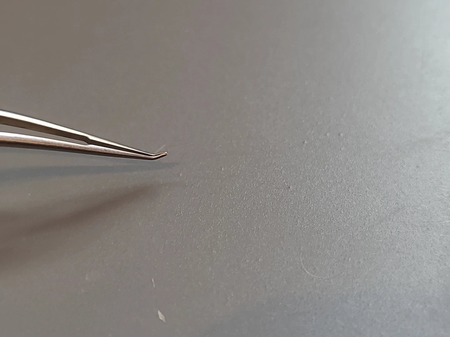 Boss Ophthalmology Cataract Trout teeth Barraquer Forceps 80-4030