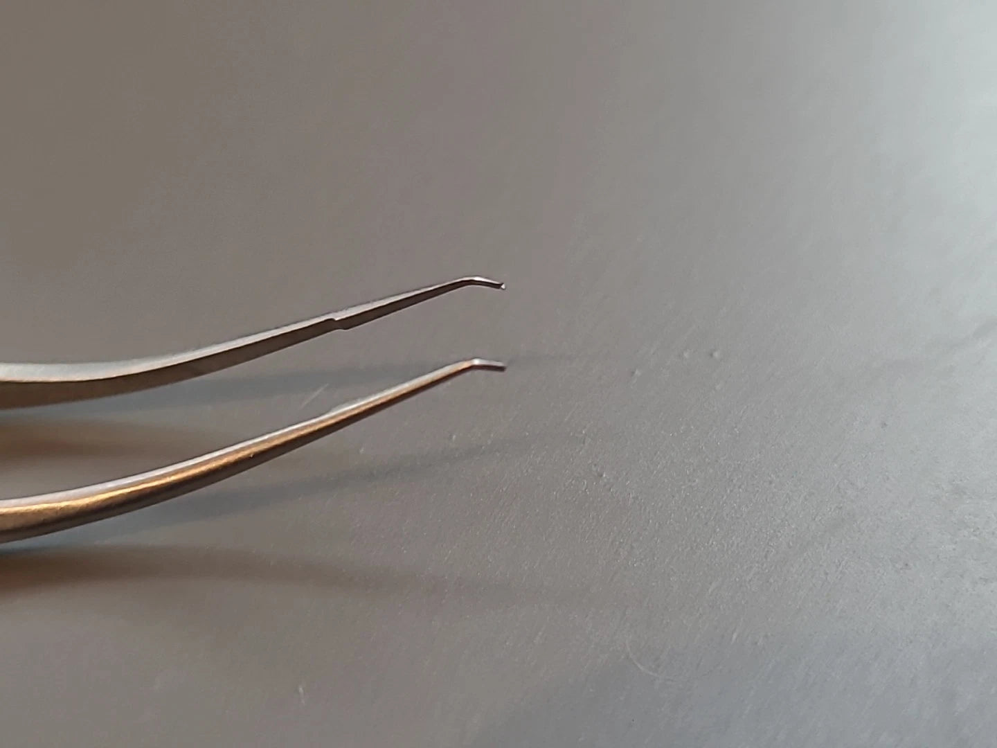 Boss Ophthalmology Cataract Trout teeth Barraquer Forceps 80-4030