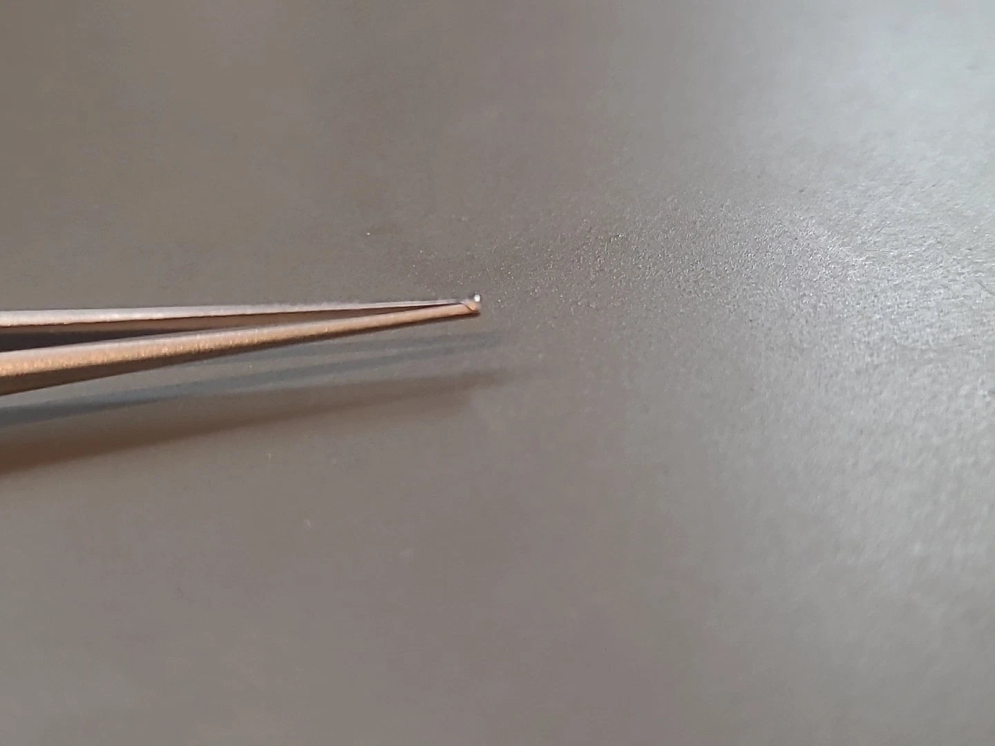 Jarit Ophthalmology Cataract Forceps W/ TEETH 355-095
