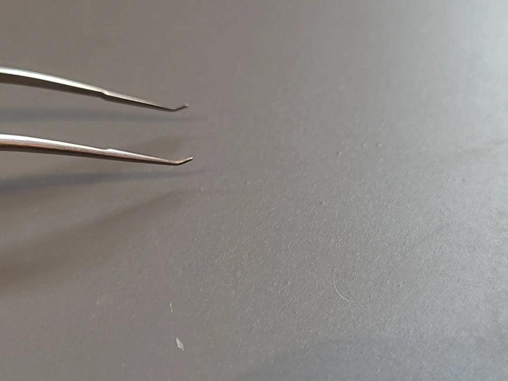 Boss Ophthalmology Cataract Trout teeth Barraquer Forceps 80-4030
