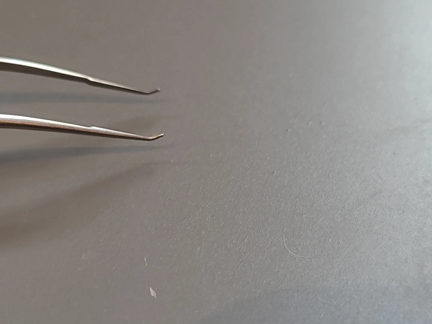 Boss Ophthalmology Cataract Trout teeth Barraquer Forceps 80-4030