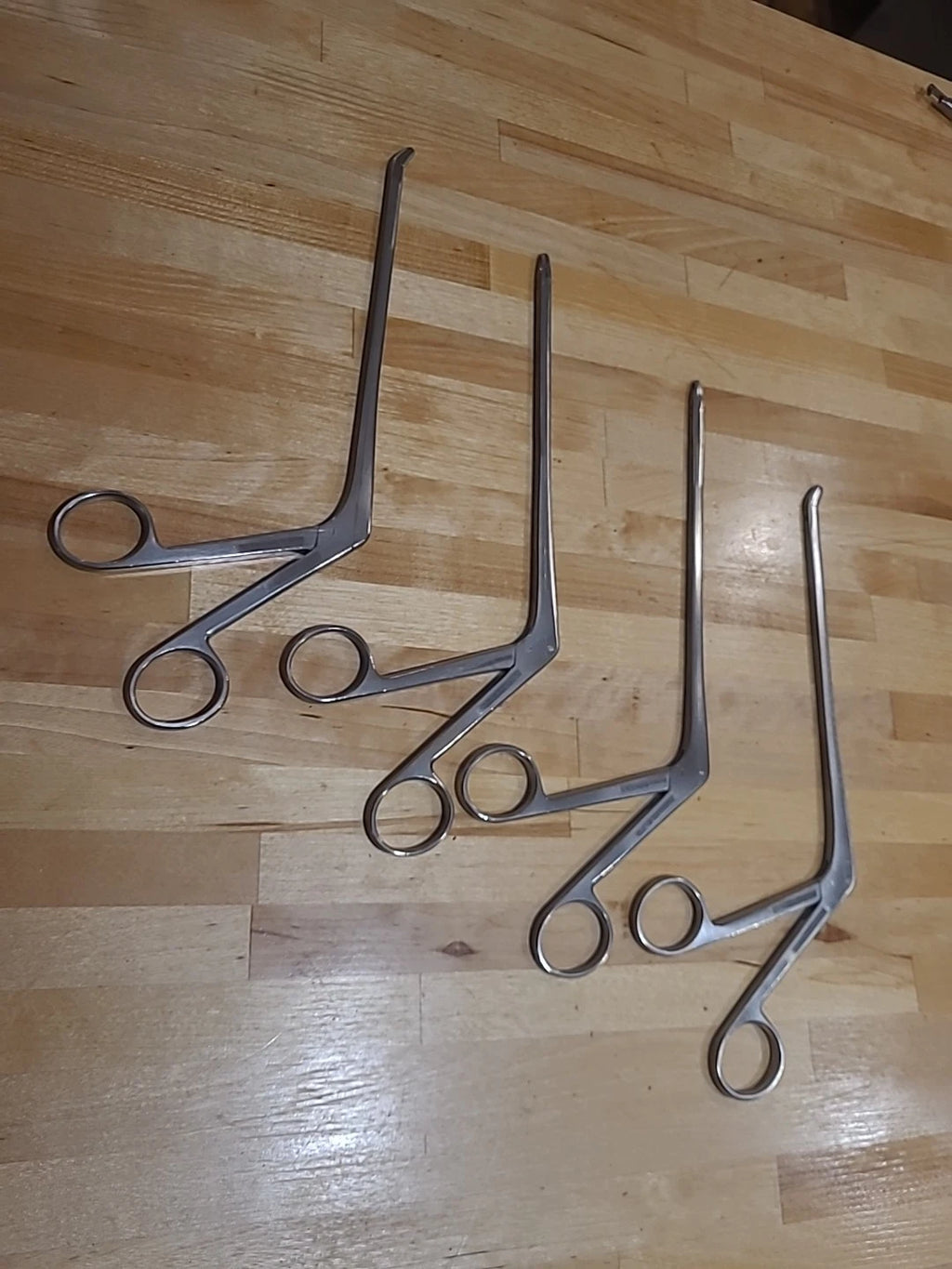 Ruggles Neuro Laminectomy Wilde Rongeur Set Of 4