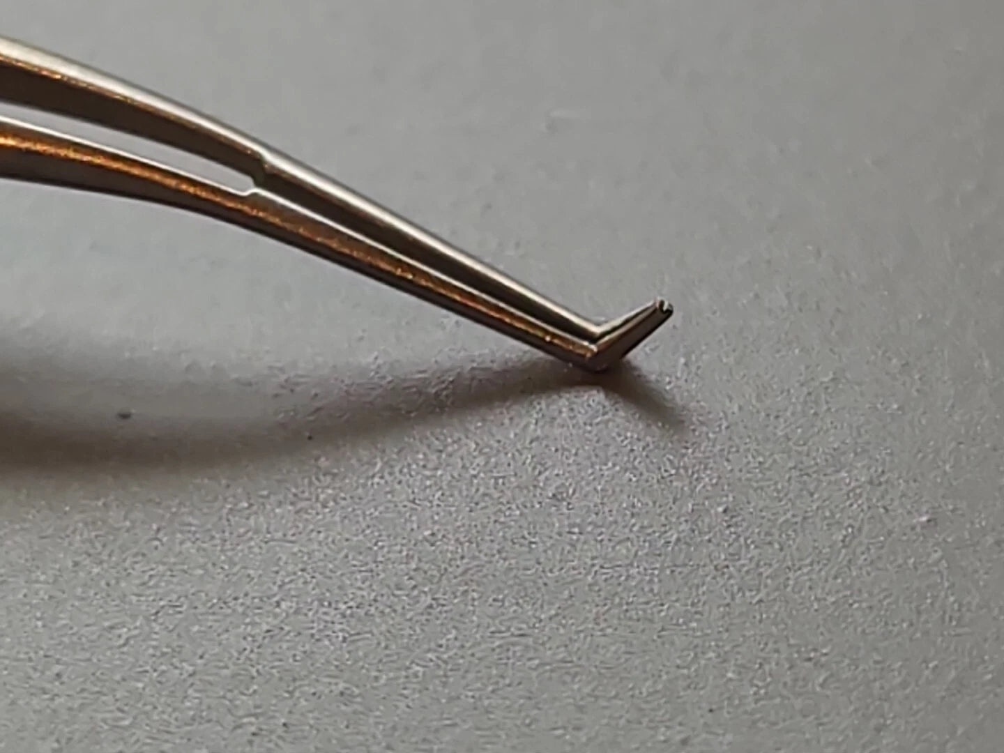 DS Katena Ophthalmology Cataract Corneoscleral Forceps K5-2900