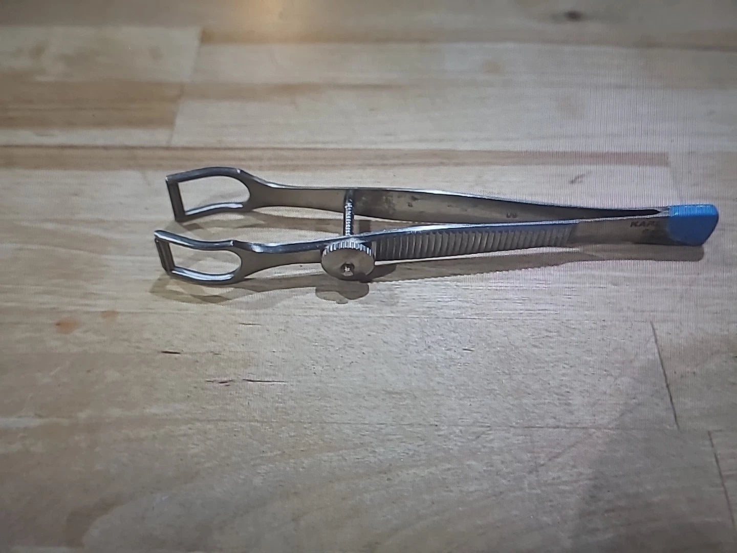 Karl Storz Cottle Columella Forceps ENT