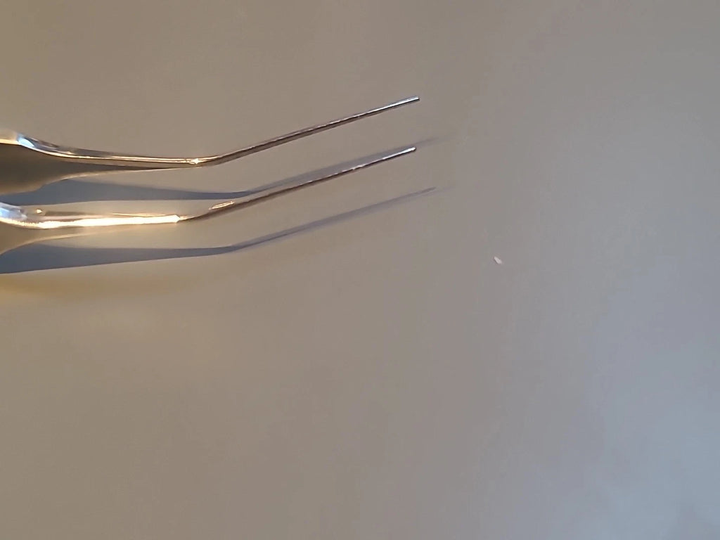 Rhein Ophthalmology Corza Loading Forceps