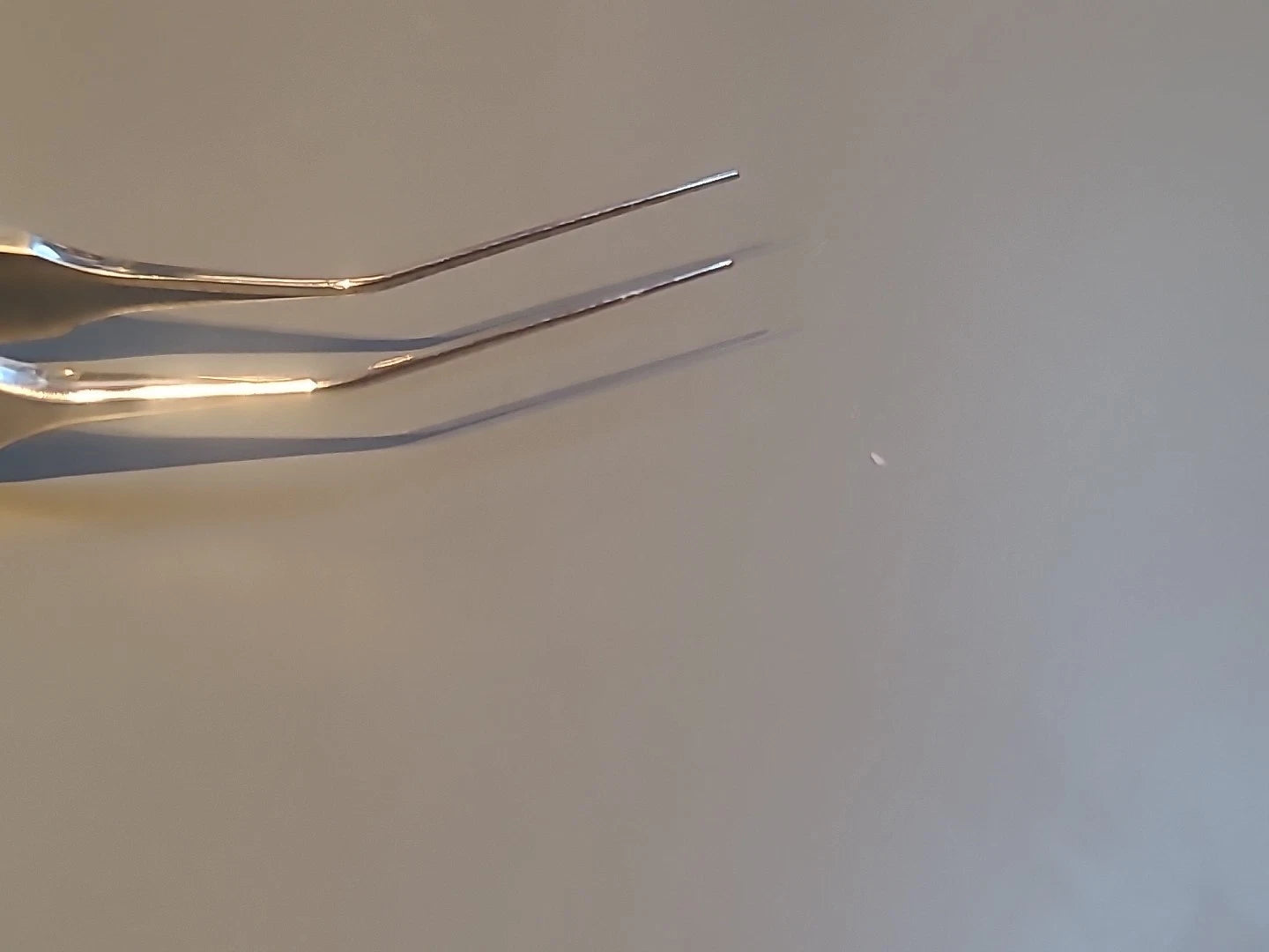 Rhein Ophthalmology Corza Loading Forceps