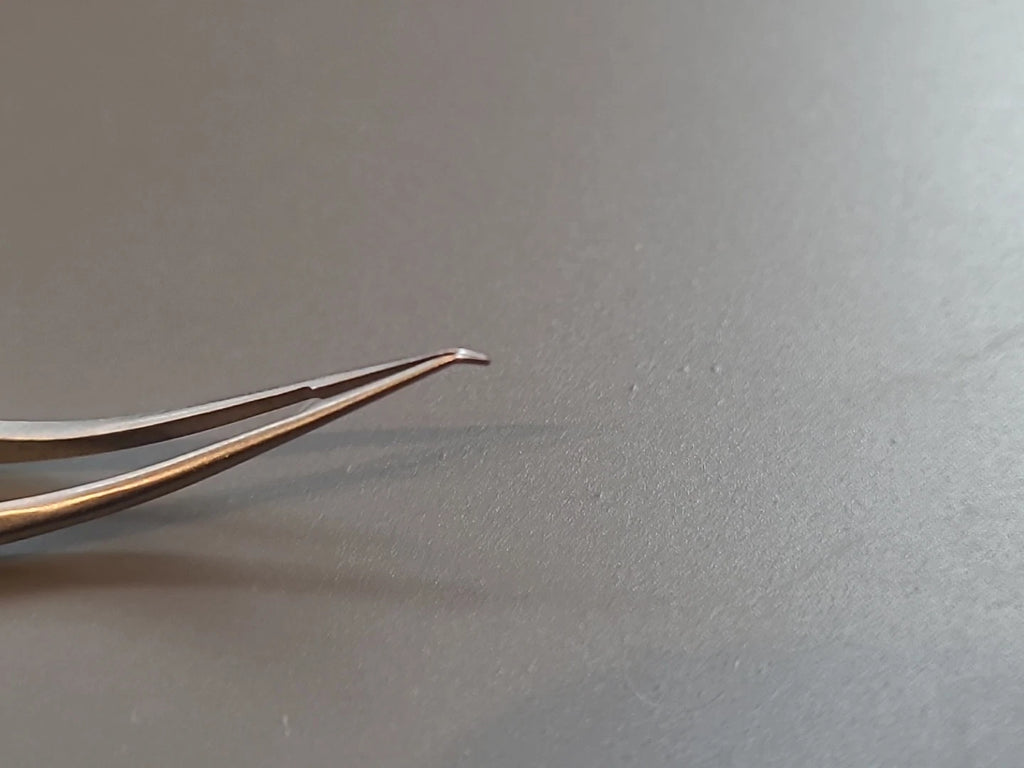 Boss Ophthalmology Cataract Trout teeth Barraquer Forceps 80-4030