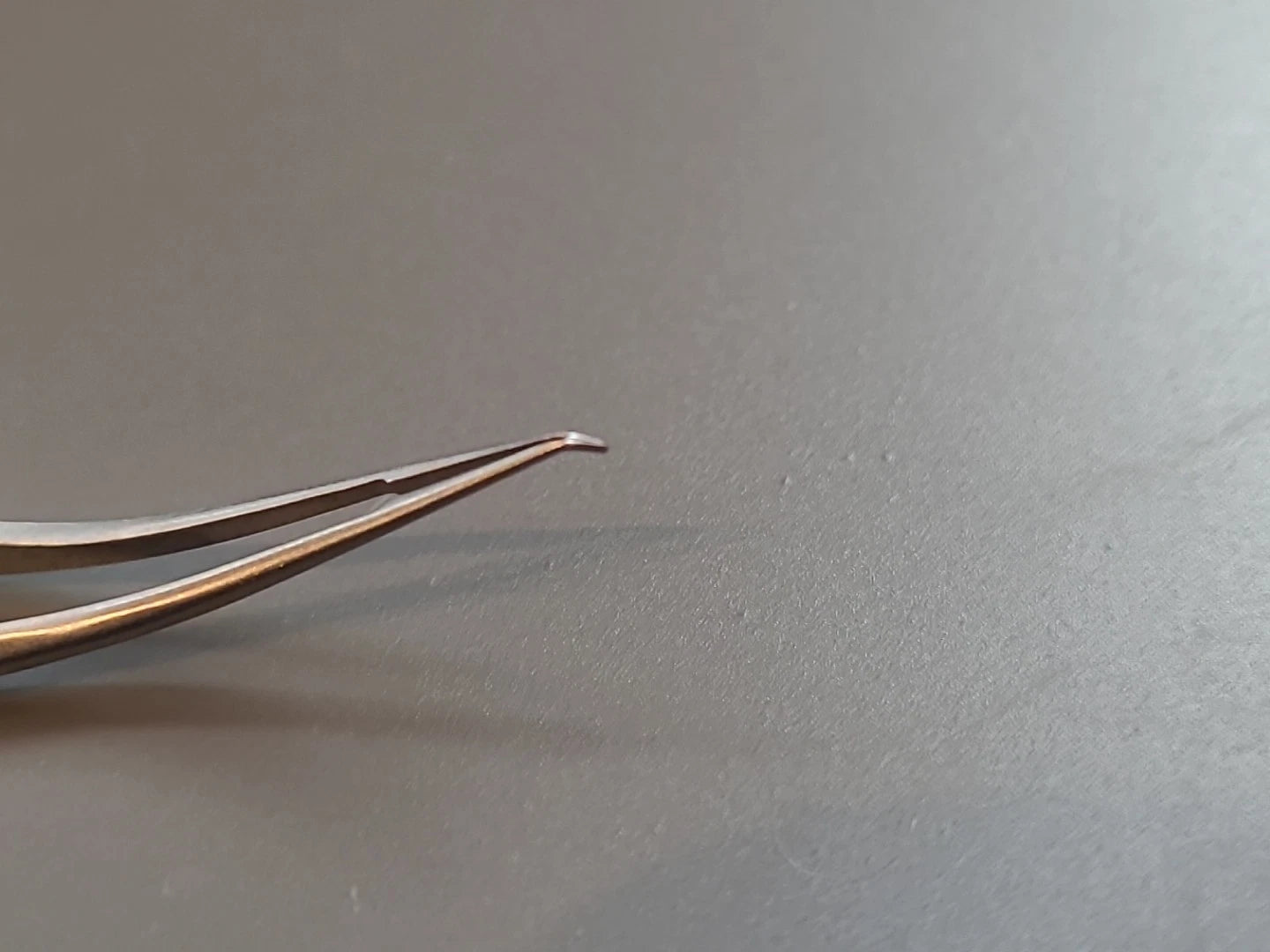 Boss Ophthalmology Cataract Trout teeth Barraquer Forceps 80-4030