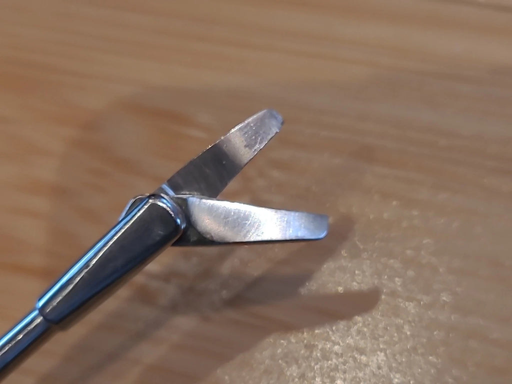 Karl Storz Nasal Sinus Rhino Ent  Punch Scissor Right 449202