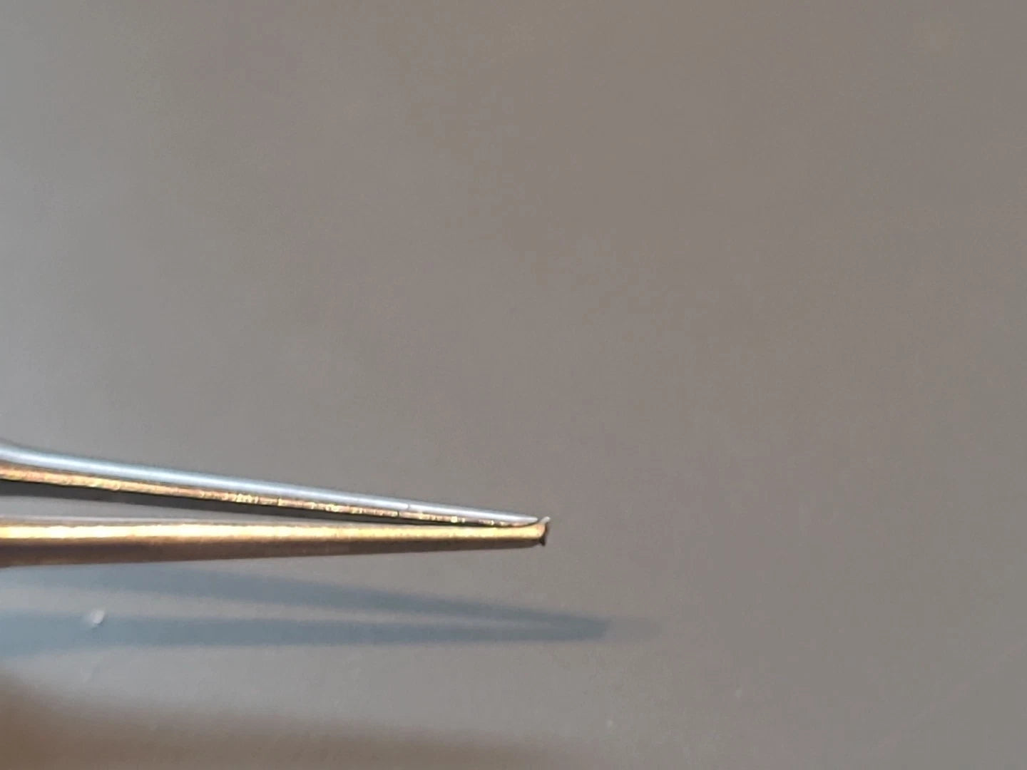 Aesculap Ophthalmology Cataract Point 5 Forceps with teeth US133