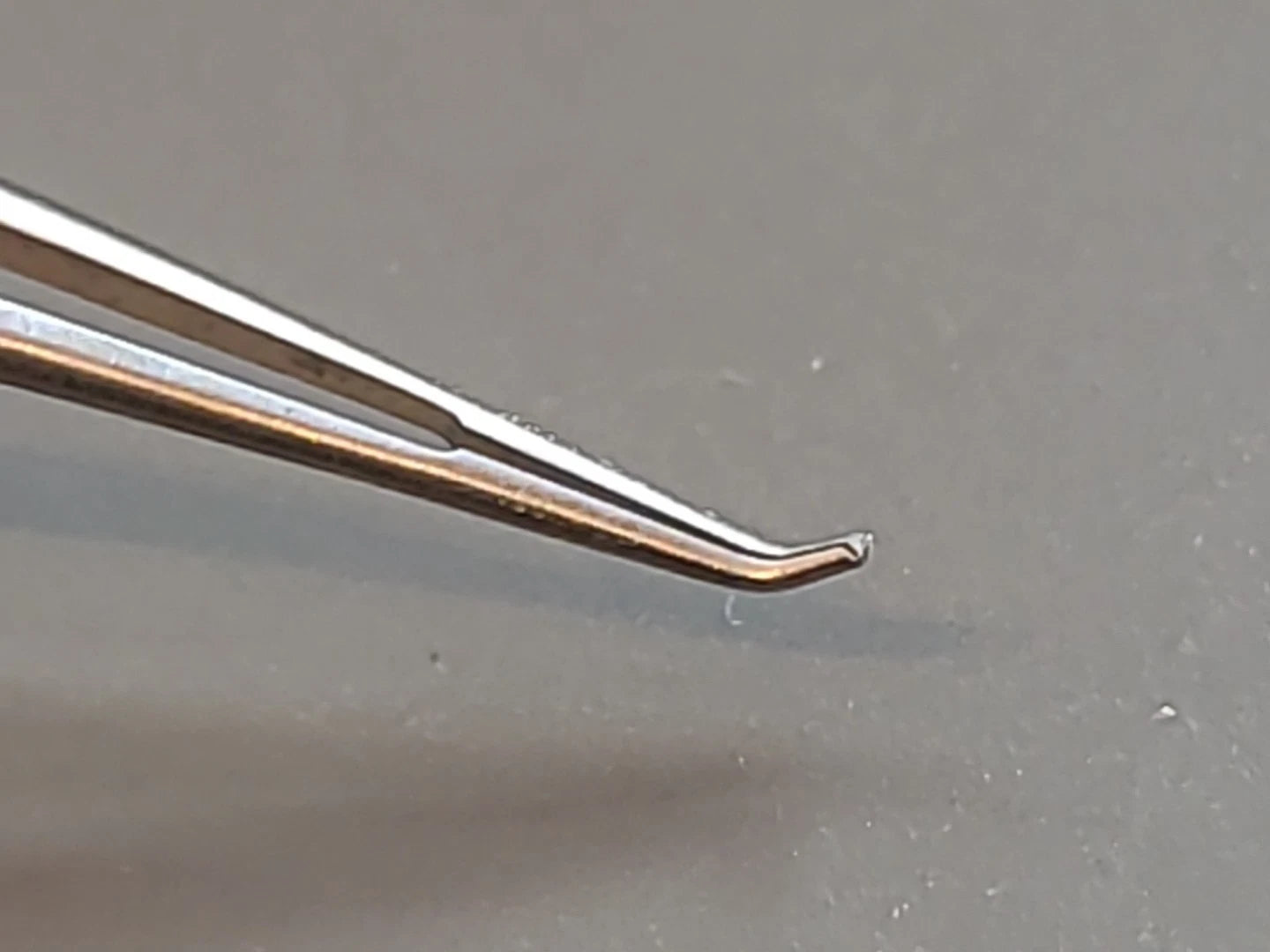 Symmetry Ophthalmology Cataract Trout Barraquer Forceps 60-1462