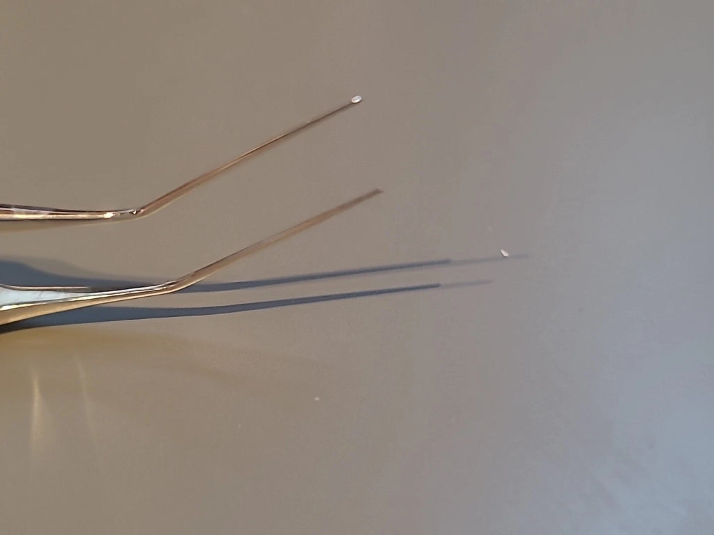 Rhein Ophthalmology Corza Loading Forceps