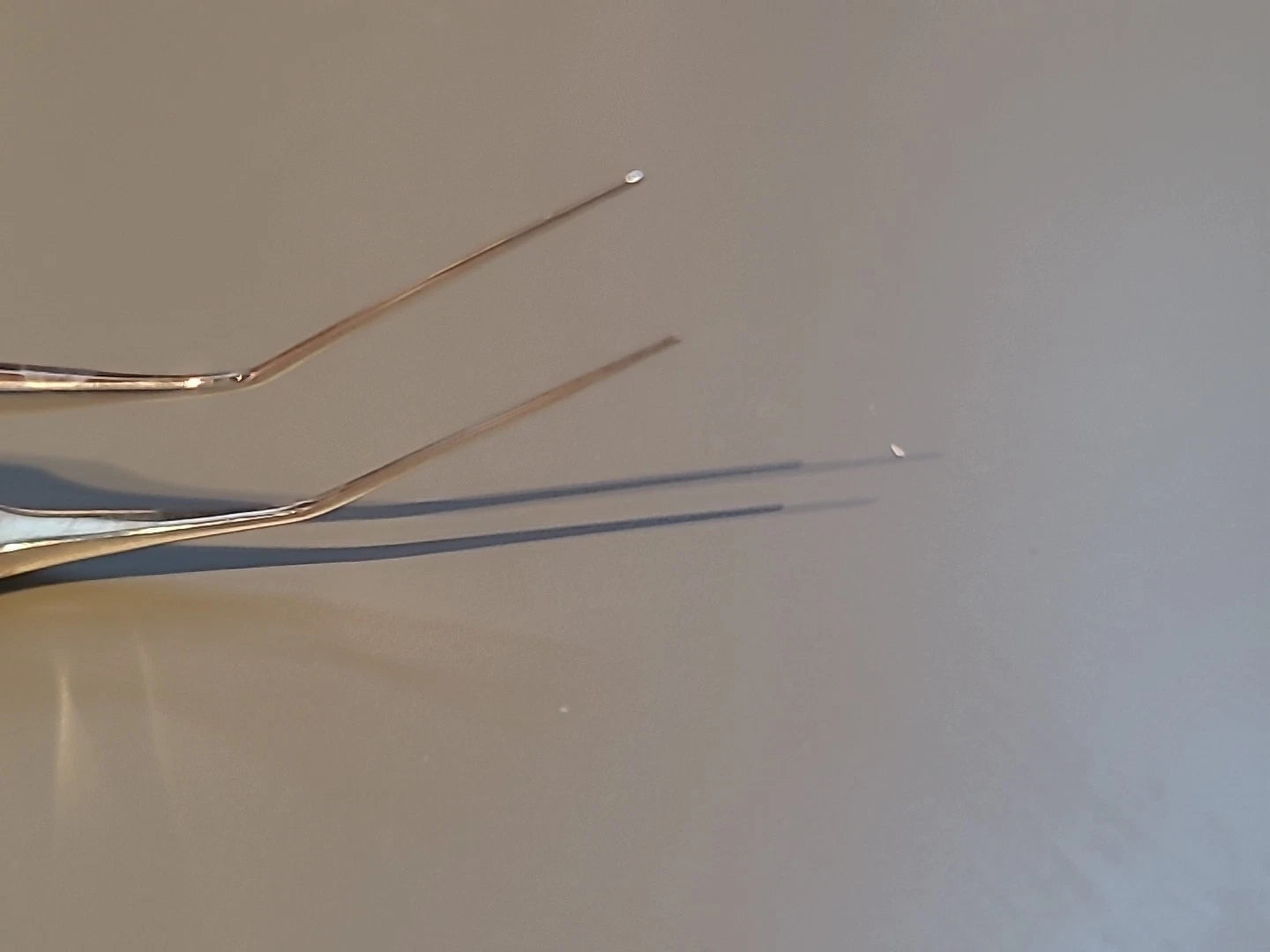 Rhein Ophthalmology Corza Loading Forceps