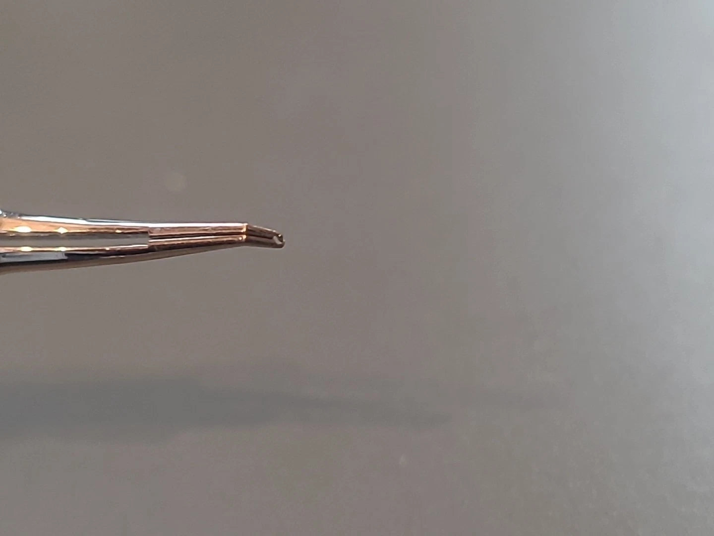 Karl Storz Ophthalmology Cataract Shepherd Conjunctiva Forceps E3207