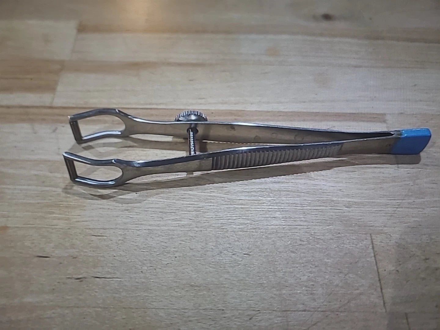 Karl Storz Cottle Columella Forceps ENT