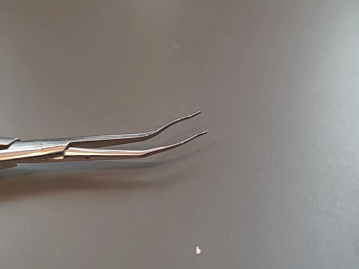 Asico Ophthalmology Cataract Lens Forceps AE-4278