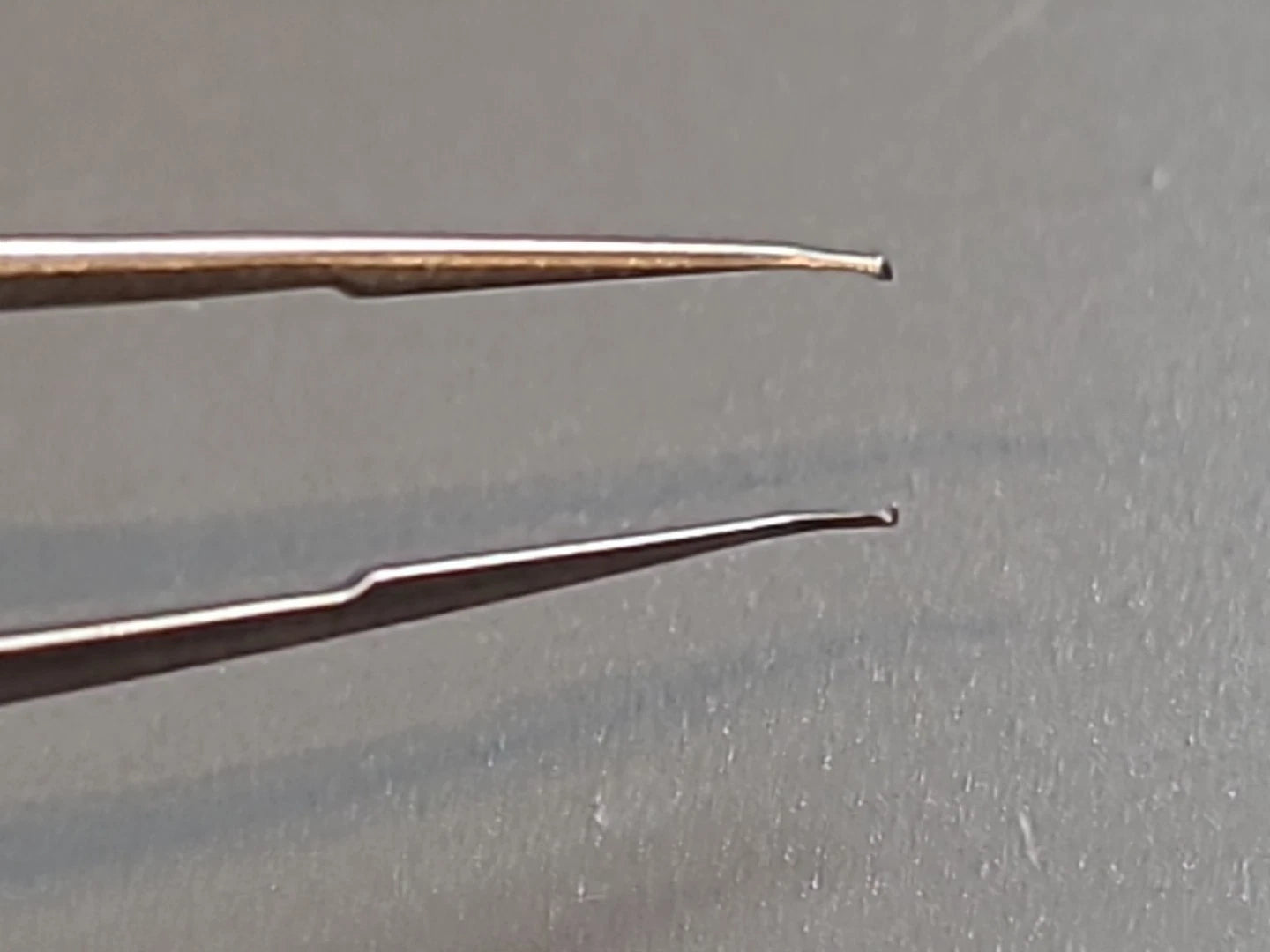 Boss Ophthalmology Cataract Trout teeth Barraquer Forceps 80-4030