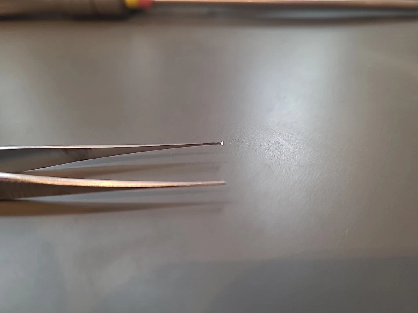 Jarit Ophthalmology Cataract Forceps W/ TEETH 355-095