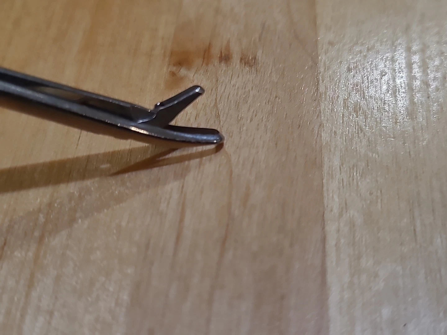 Acufex Arthroscopy Forceps Up