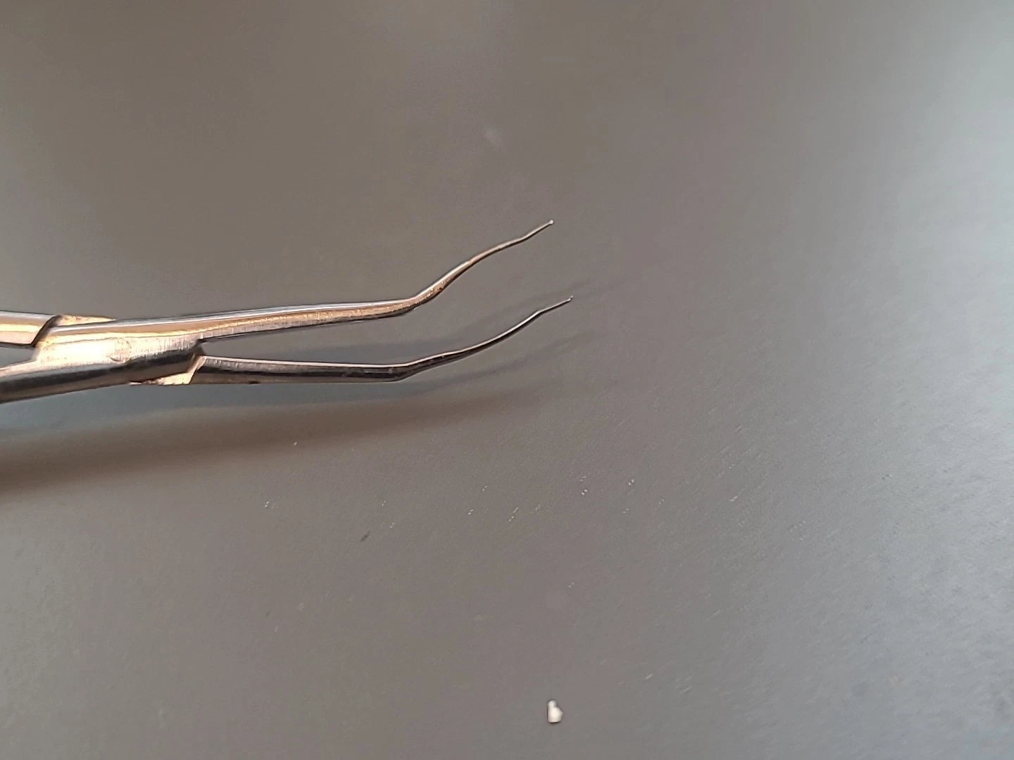 Asico Ophthalmology Cataract Lens Forceps AE-4278