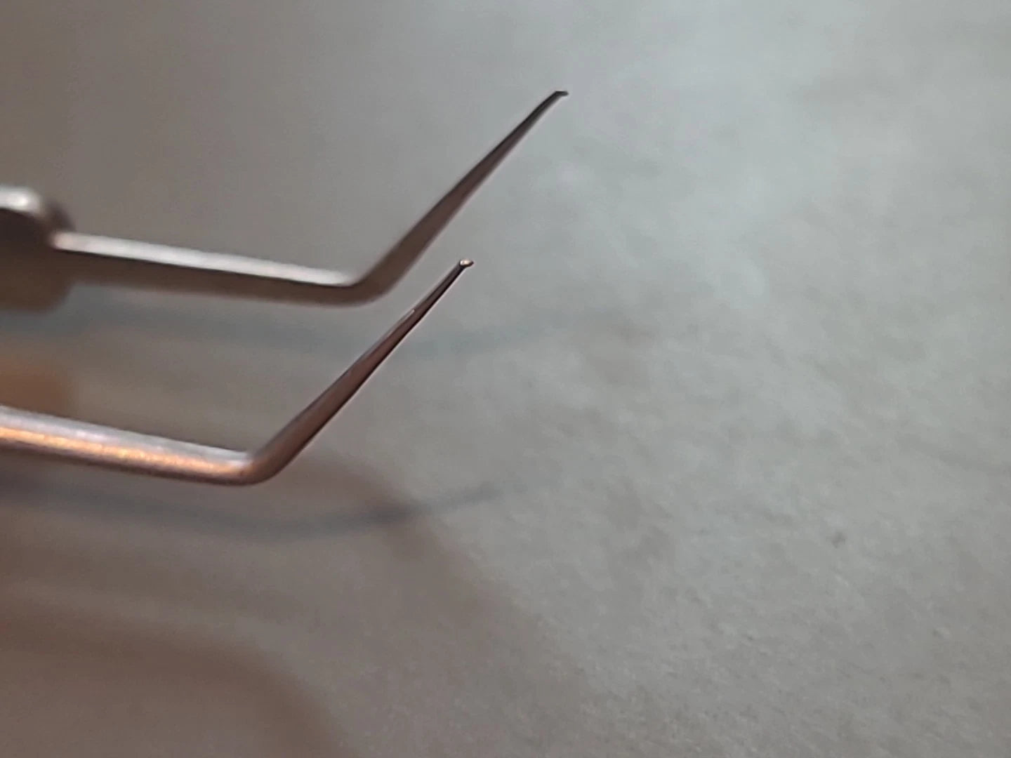 Symmetry Ophthalmology Cataract Utrata Forcep 60-1499