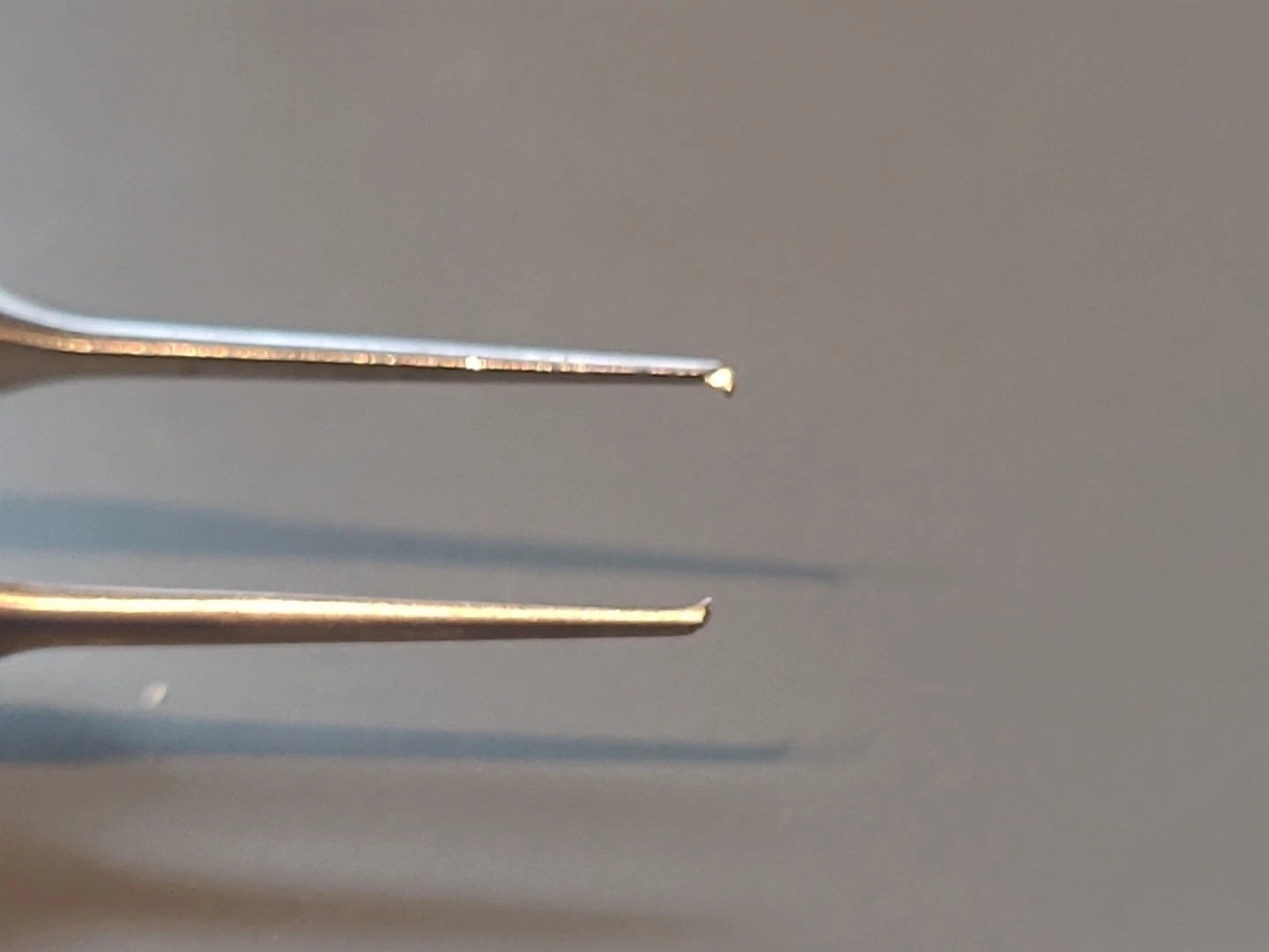 Aesculap Ophthalmology Cataract Point 5 Forceps with teeth US133
